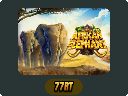 African Elephant